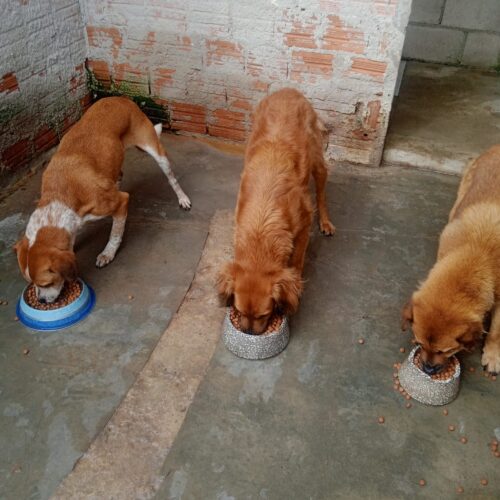 WhatsApp Image 2026-08-20 at 12.43.30 (1)